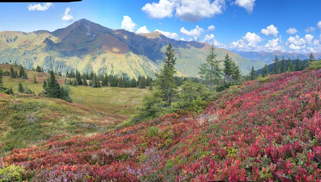 רוטנמן Alpengasthof Grobbauer מראה חיצוני תמונה